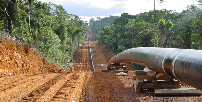 Pipeline Tchad-Cameroun : l’interférence de Savannah Energy