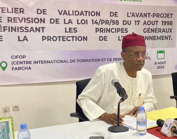 Tchad : le gouvernement révise la loi sur  la protection de l’environnement