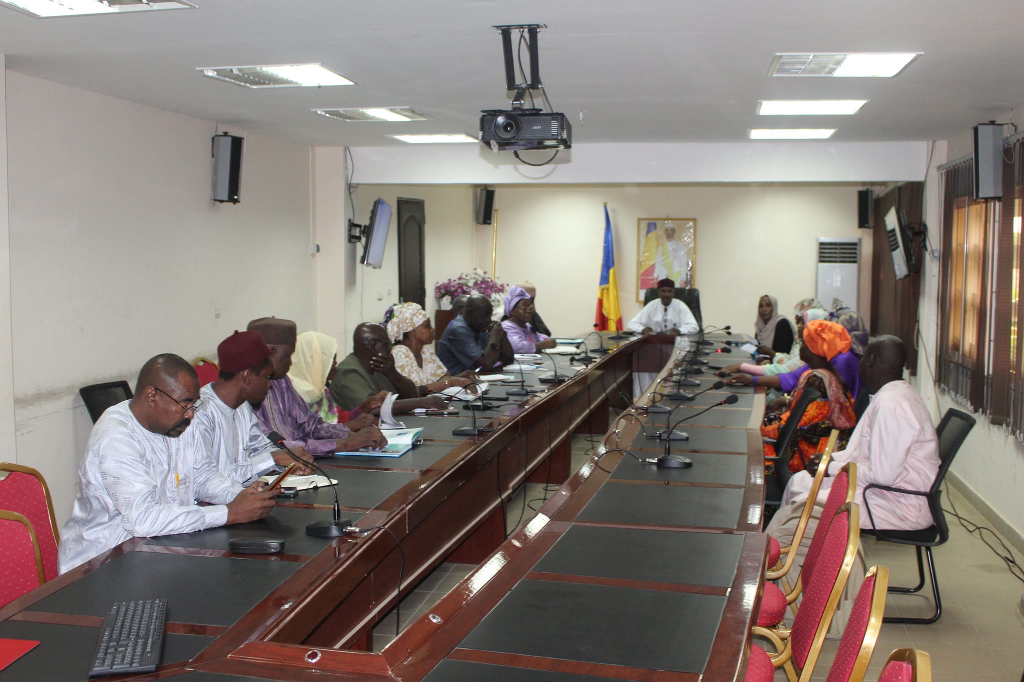 Tchad : le ministère de la Santé présente le plan de riposte à l’épidémie de la Dengue