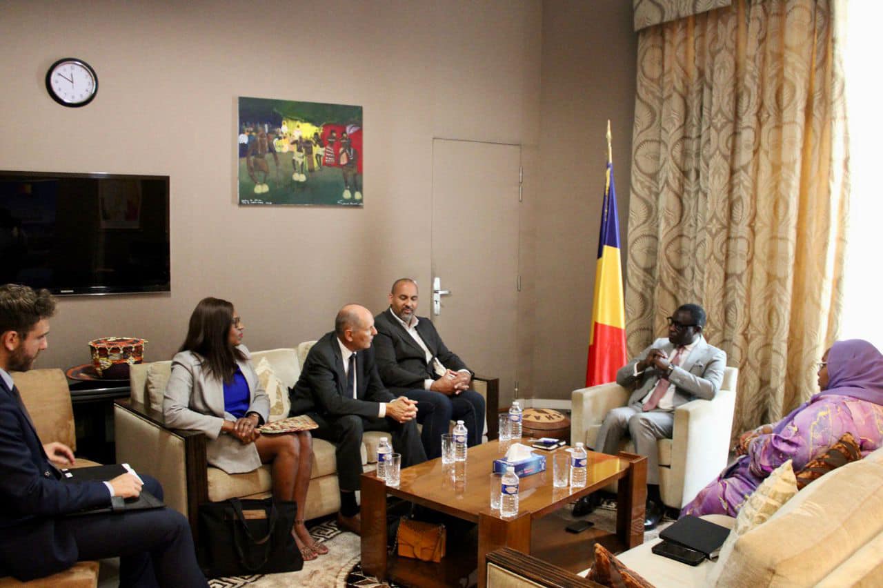Le Mouvement des entreprises de France explore les opportunités d’investissement au Tchad