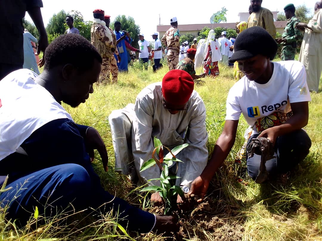 Tchad : le Guera lance l’opération une semaine pour planter 16000 plants