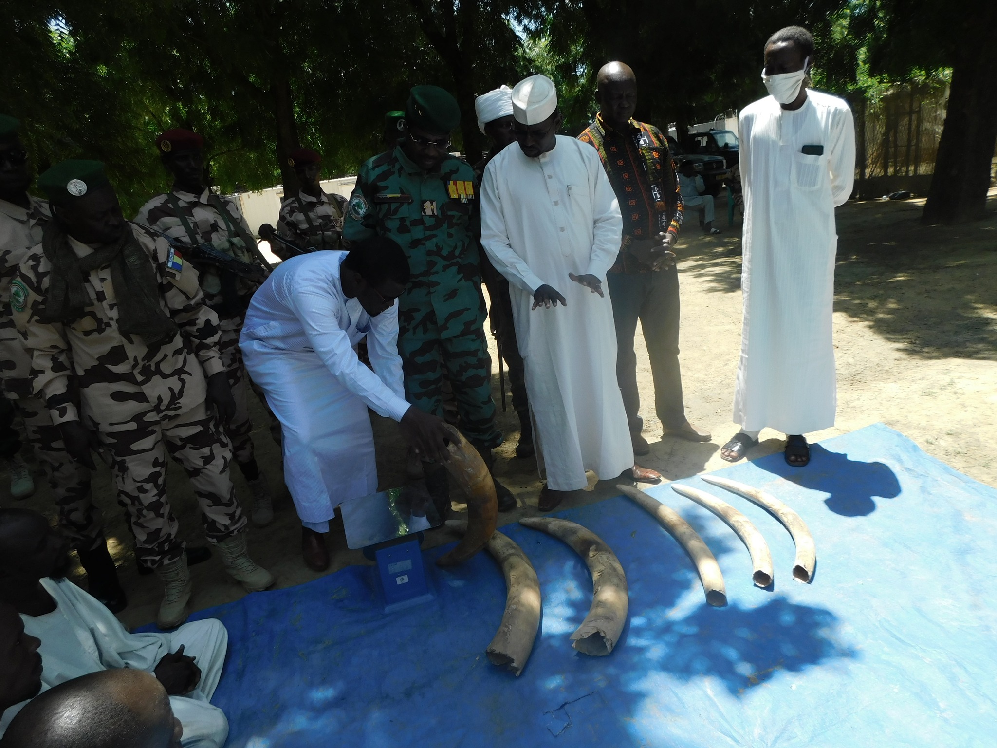 Tchad : trois braconniers interpellés à N’Djaména 