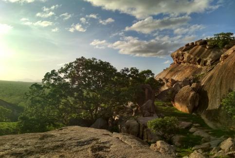 Tchad : vers le reclassement de la réserve de faune de Siniaka-Minia en parc national de Siniaka-Minia