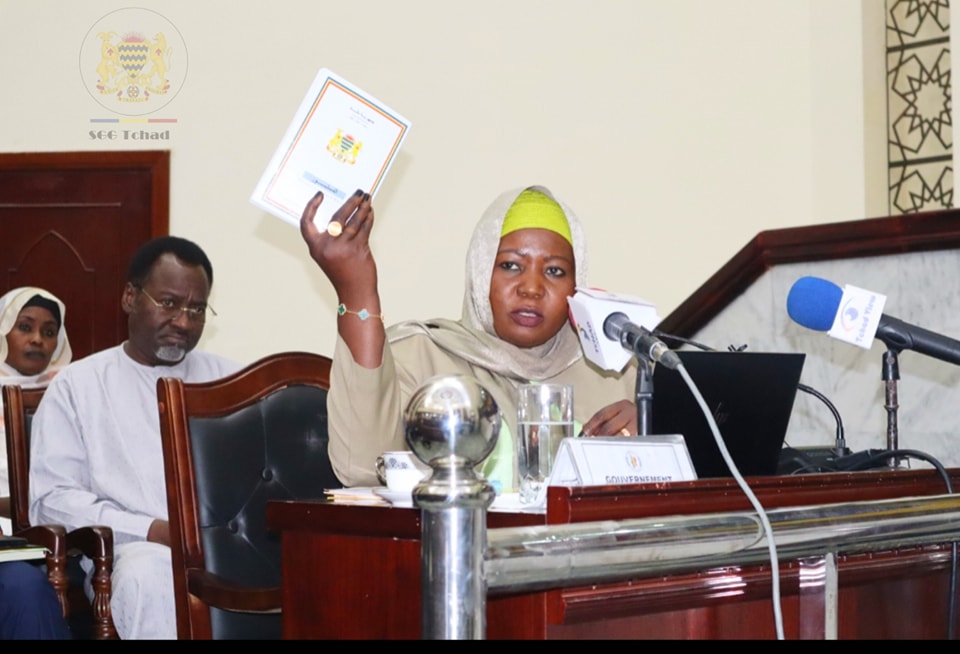 Tchad : adoption du projet de loi portant fonctionnement du Conseil constitutionnel