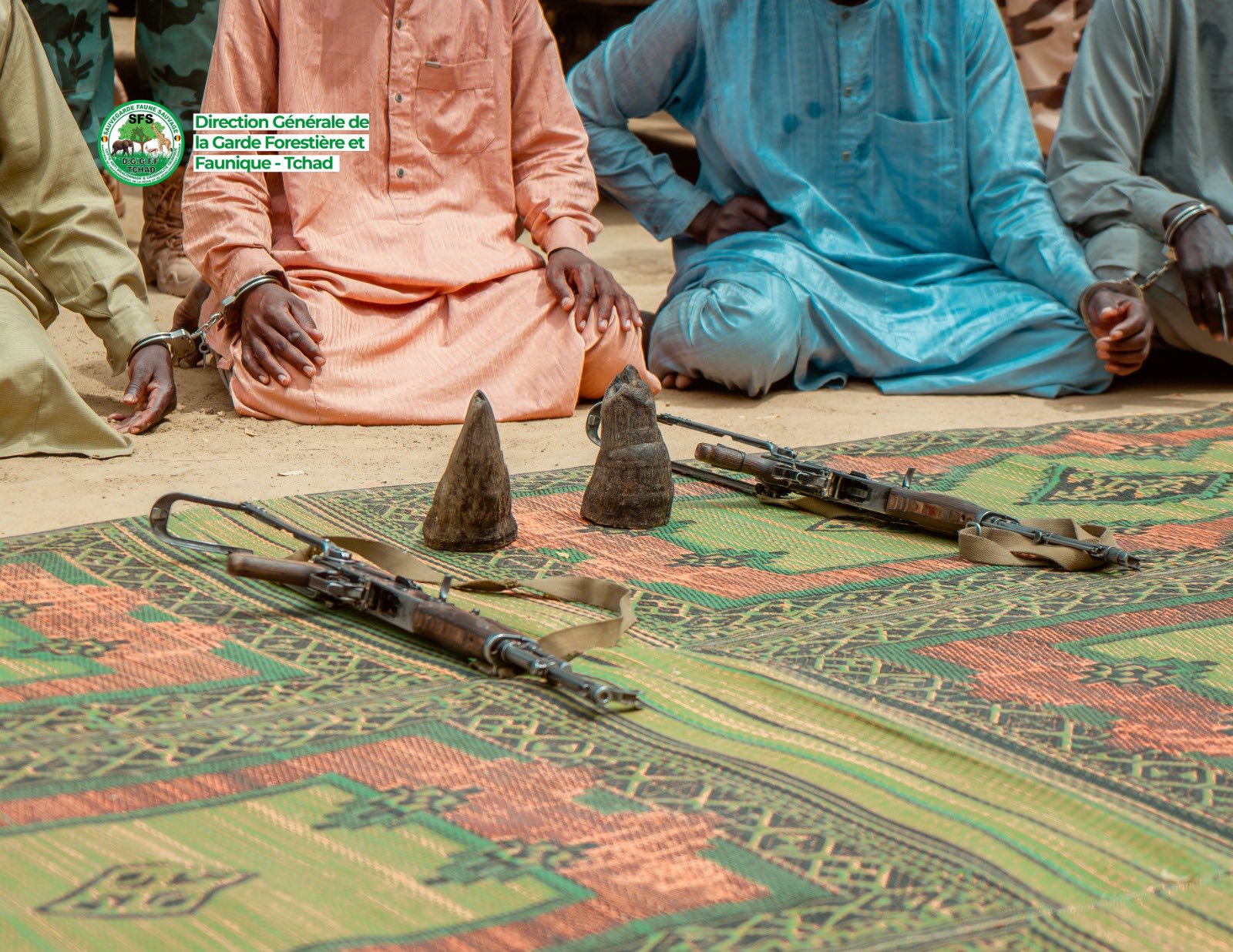 Tchad : 8 braconniers de rhinocéros noirs capturés