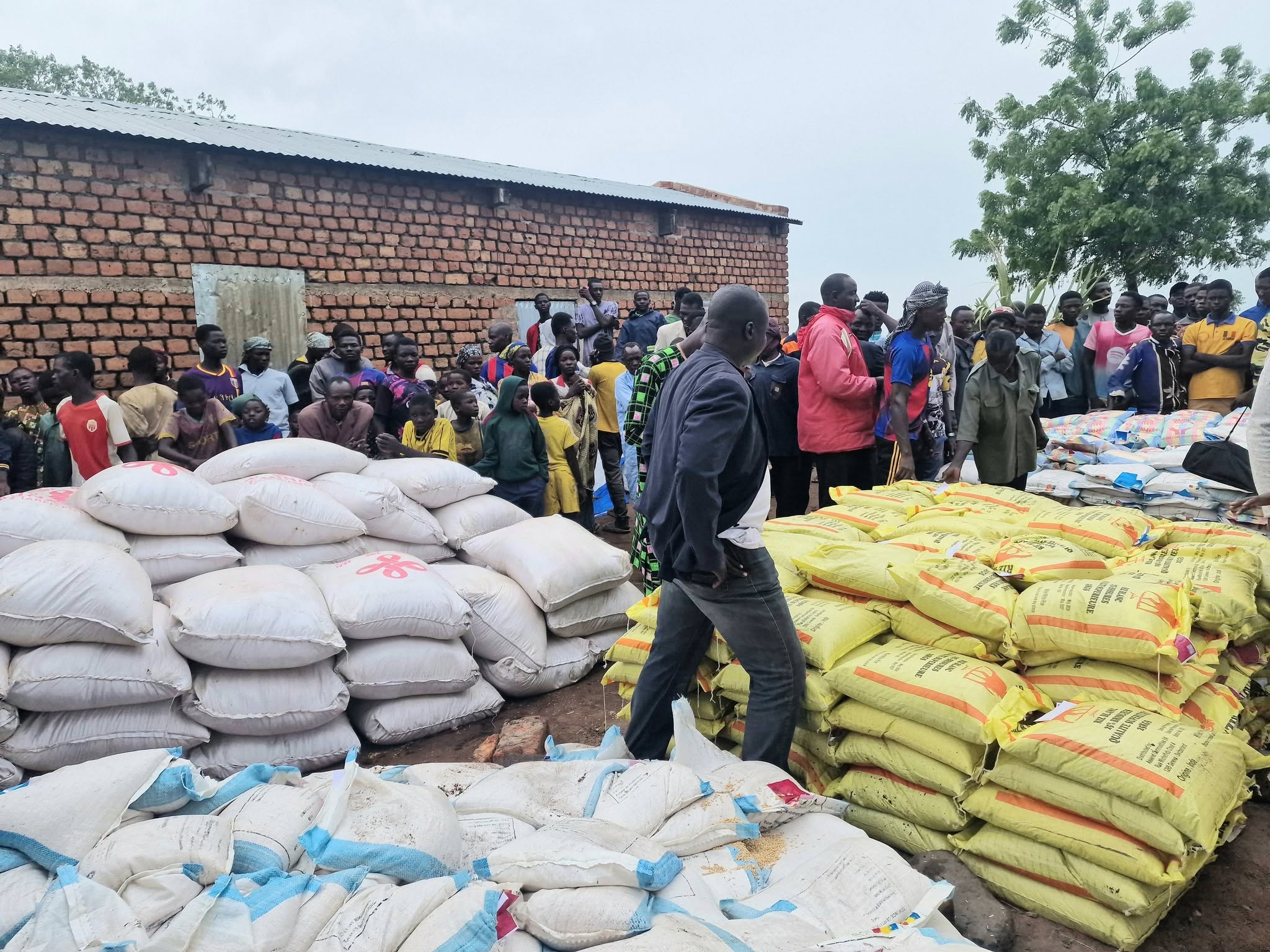 Tchad : distribution des semences aux sinistrés du département du Mayo Boneye