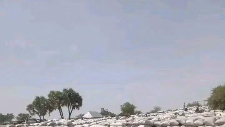 (DR)
