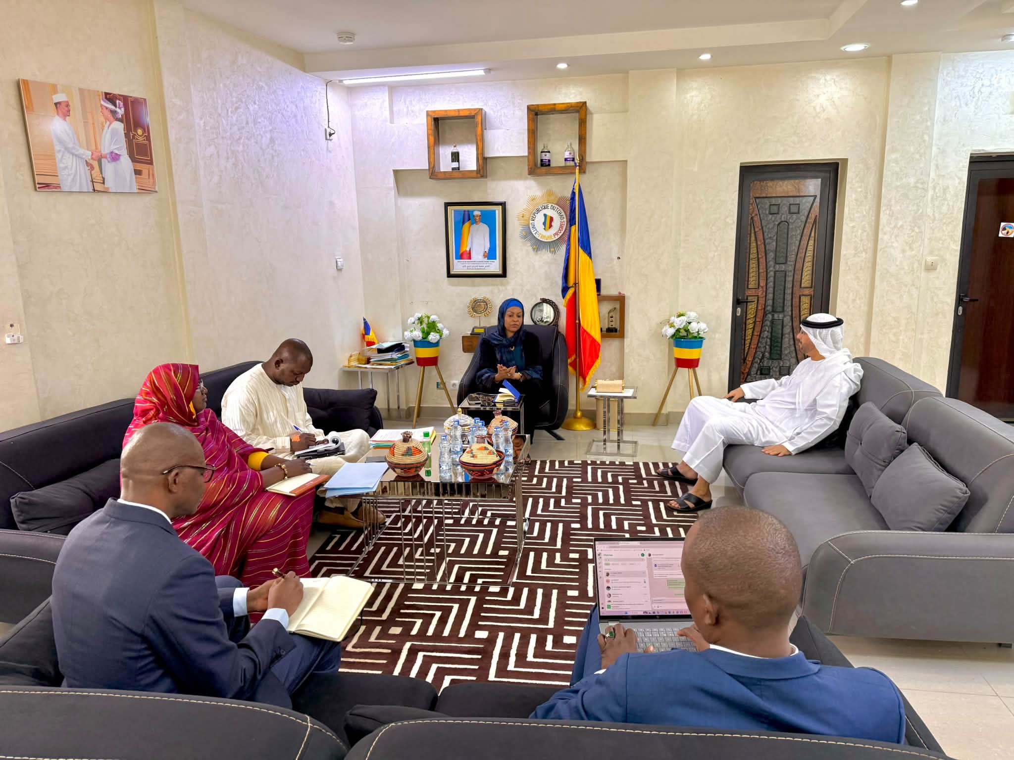 Le Tchad et les Emirats Arabes Unis explorent de nouvelles perspectives dans les mines et le pétrole 